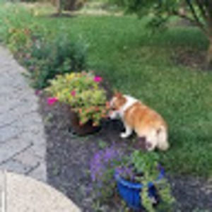 Meet your Posher, Paula